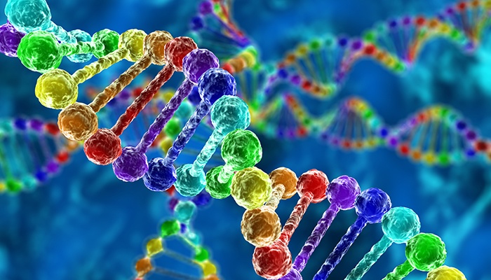 Embedding service into your company’s DNA