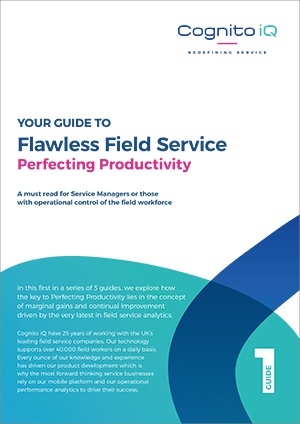 Digital Guide - Perfecting Productivity.pdf-1