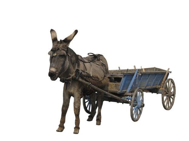 Of horses and carts - ruggedness and reliability in tablet PC selection in the utilities sector
