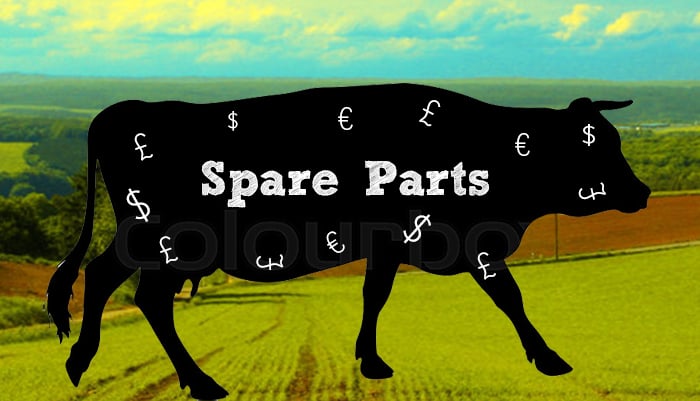 Industry Survey: Is Spare Parts Still the Service Division Cash Cow?
